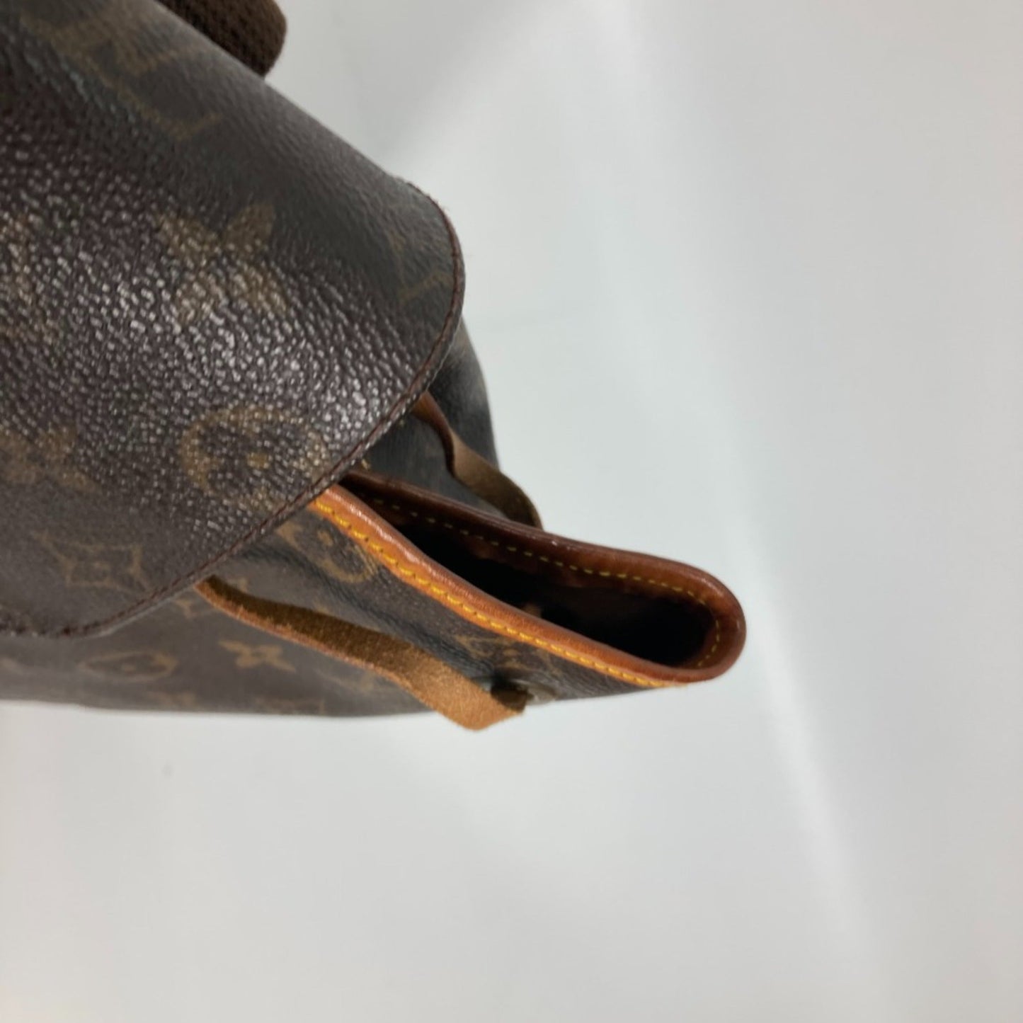 Louis Vuitton Brown Other Backpack