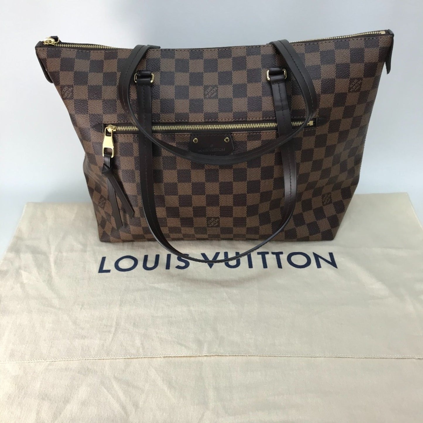 Louis Vuitton Brown Other Shoulder Bag