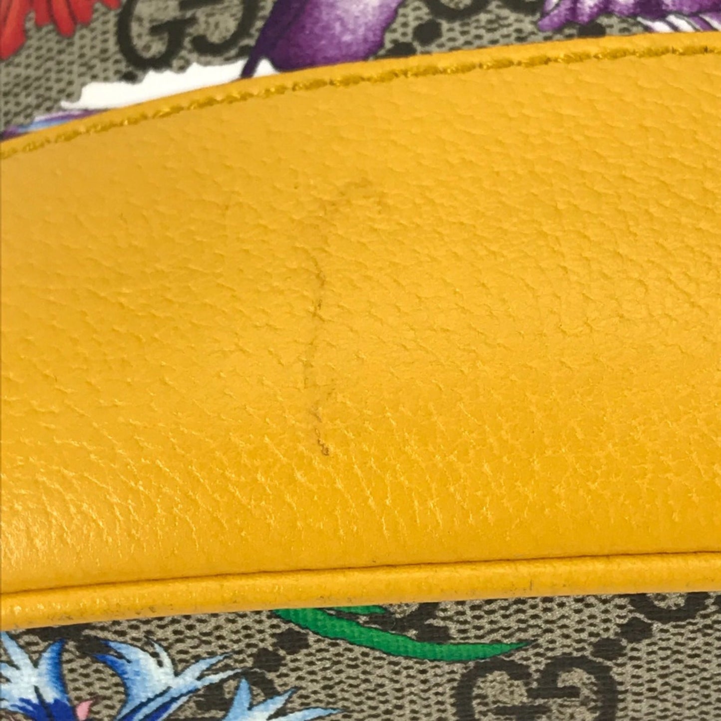 Gucci Beige Other Handbag