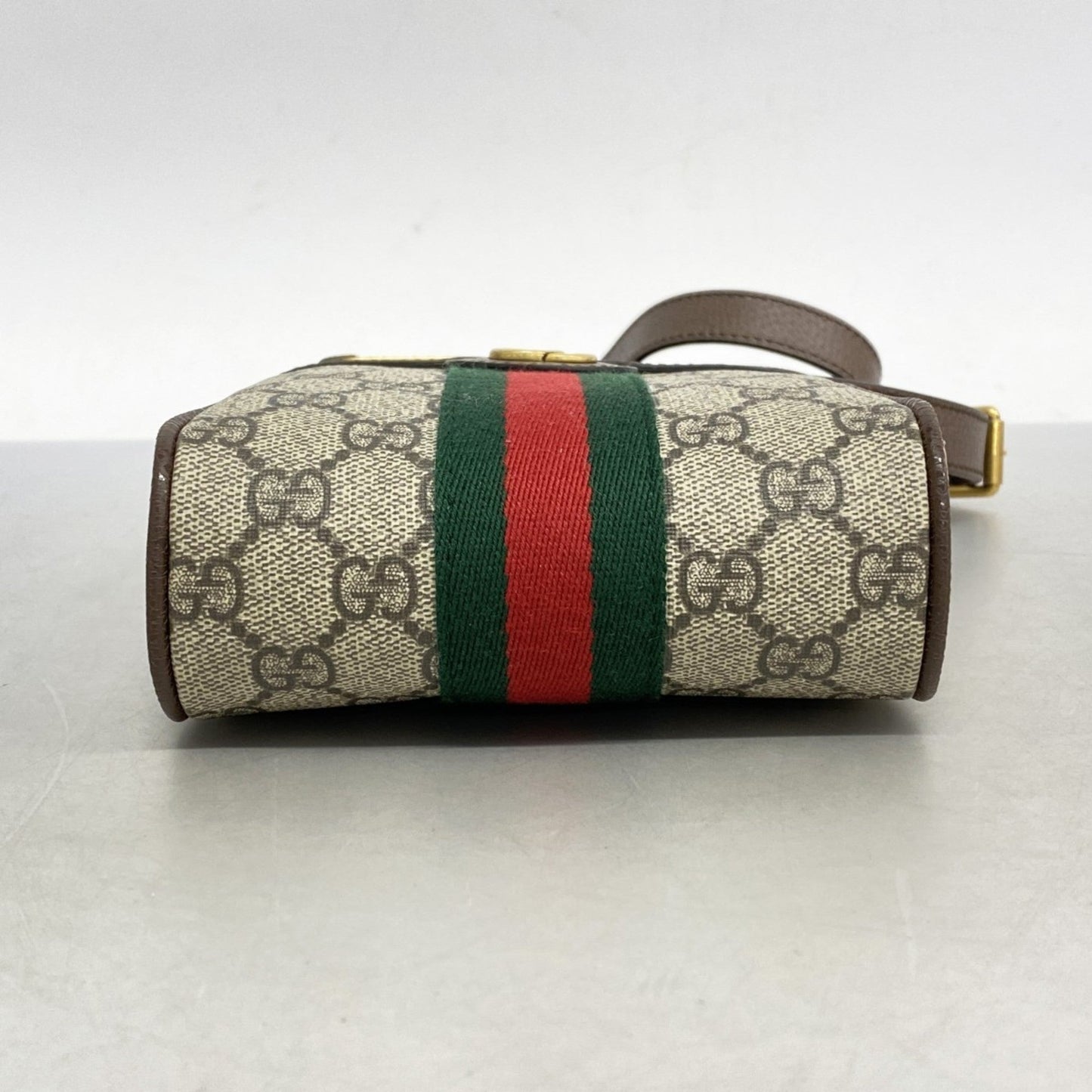 Gucci Brown Pvc Shoulder Bag