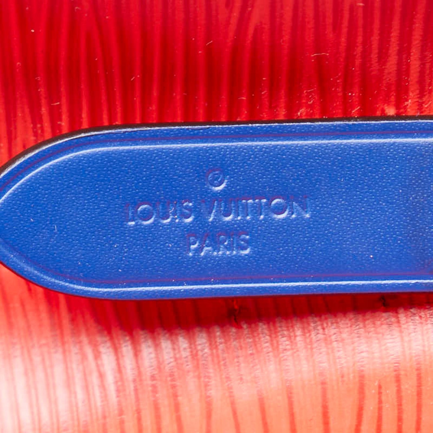Louis Vuitton Blue Coquelicots Leather Handbag Shoulder Bag