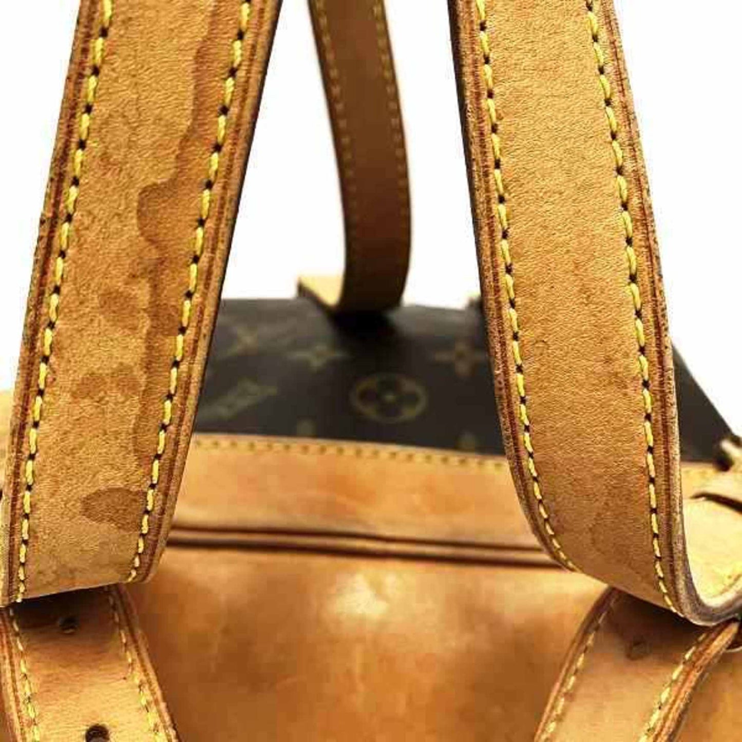 Louis Vuitton Brown Backpack