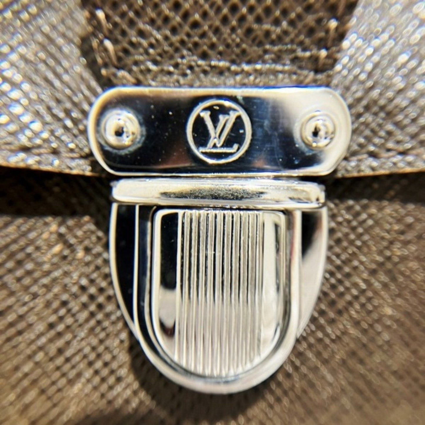 Louis Vuitton Taiga Grizzly Leather Shoulder Bag