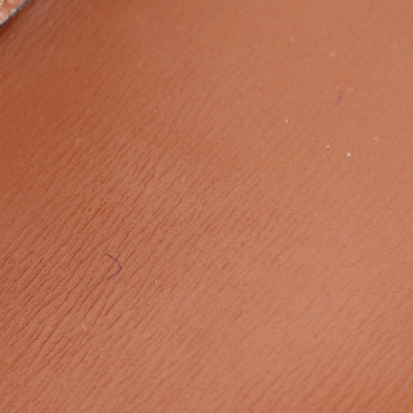 Louis Vuitton Brown Epi Leather Shoulder Bag