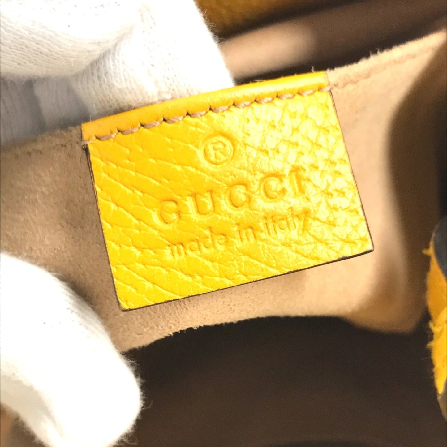 Gucci Beige Other Handbag