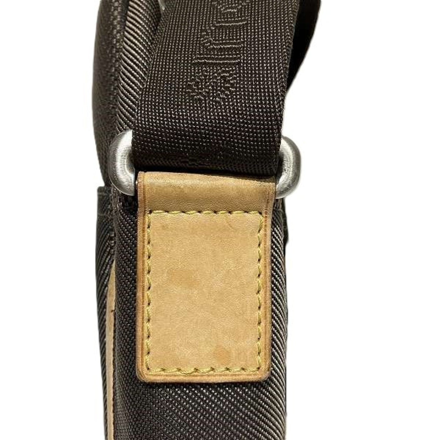 Louis Vuitton Damier Canvas Earth Damier Geant Shoulder Bag