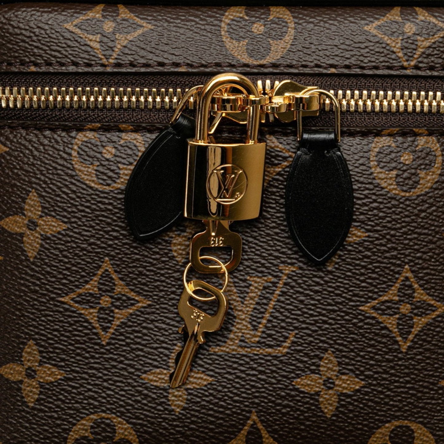 Louis Vuitton Monogram Brown Monogram Leather Pvc Shoulder Bag Vanity Bag