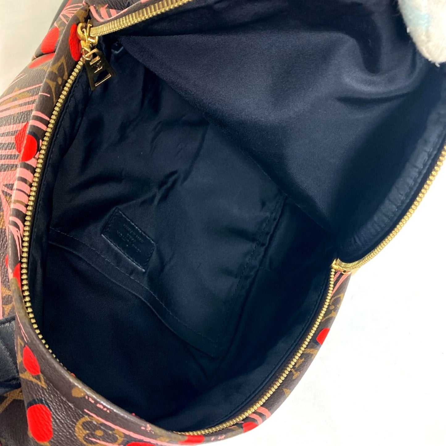 Louis Vuitton Brown Other Backpack