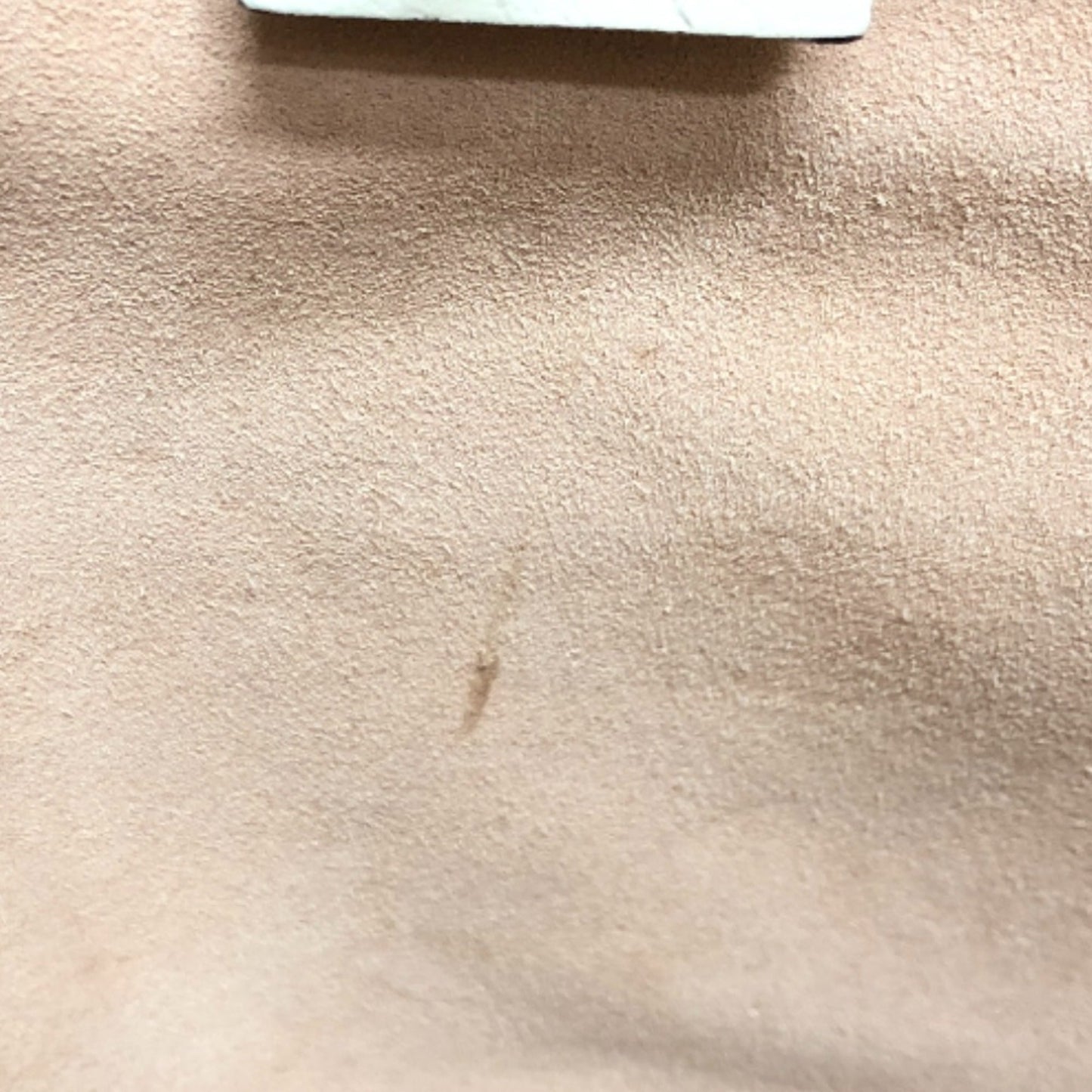 Gucci Beige Other Handbag
