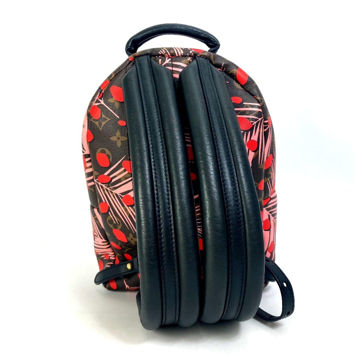 Louis Vuitton Brown Other Backpack