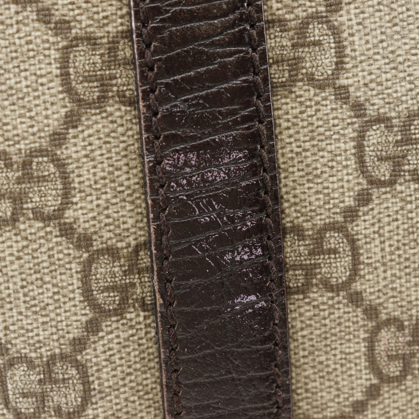 Gucci Brown Gg Plus Tote Bag