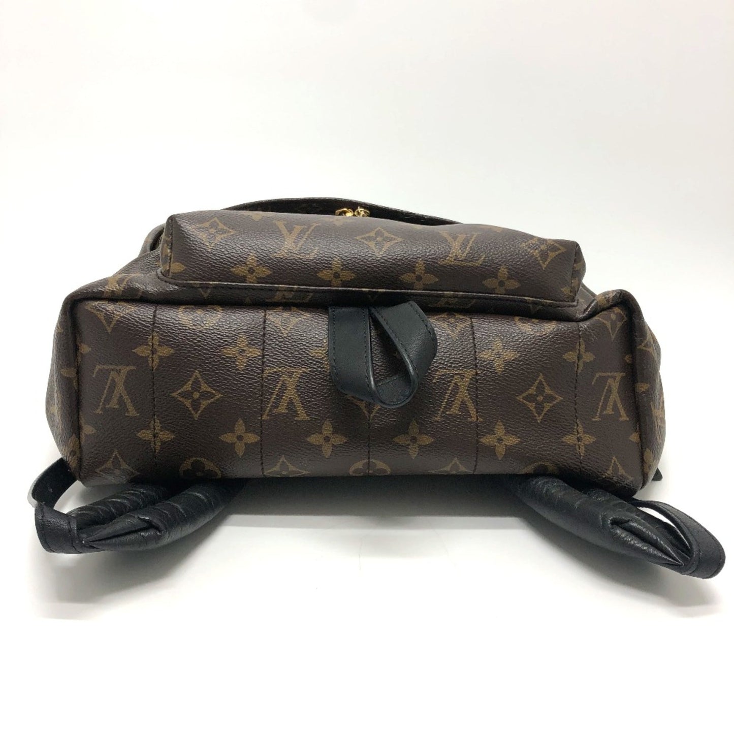 Louis Vuitton Brown Other Backpack
