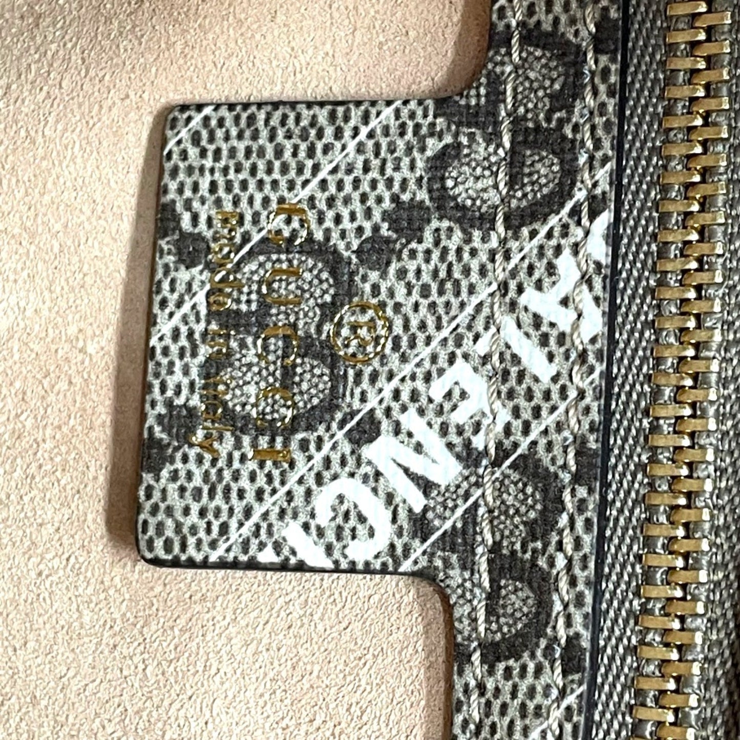 Gucci Beige Other Handbag