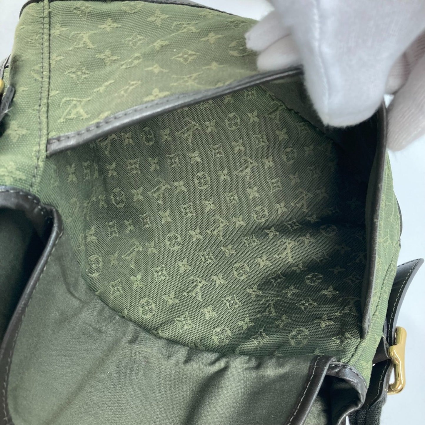 Louis Vuitton Other Other Shoulder Bag