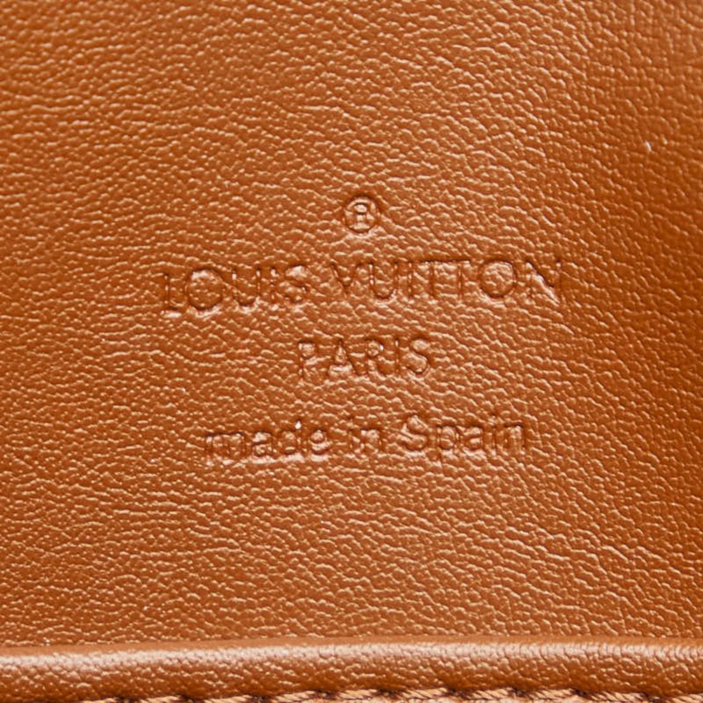 Louis Vuitton Bronze Brown Patent Leather Shoulder Bag