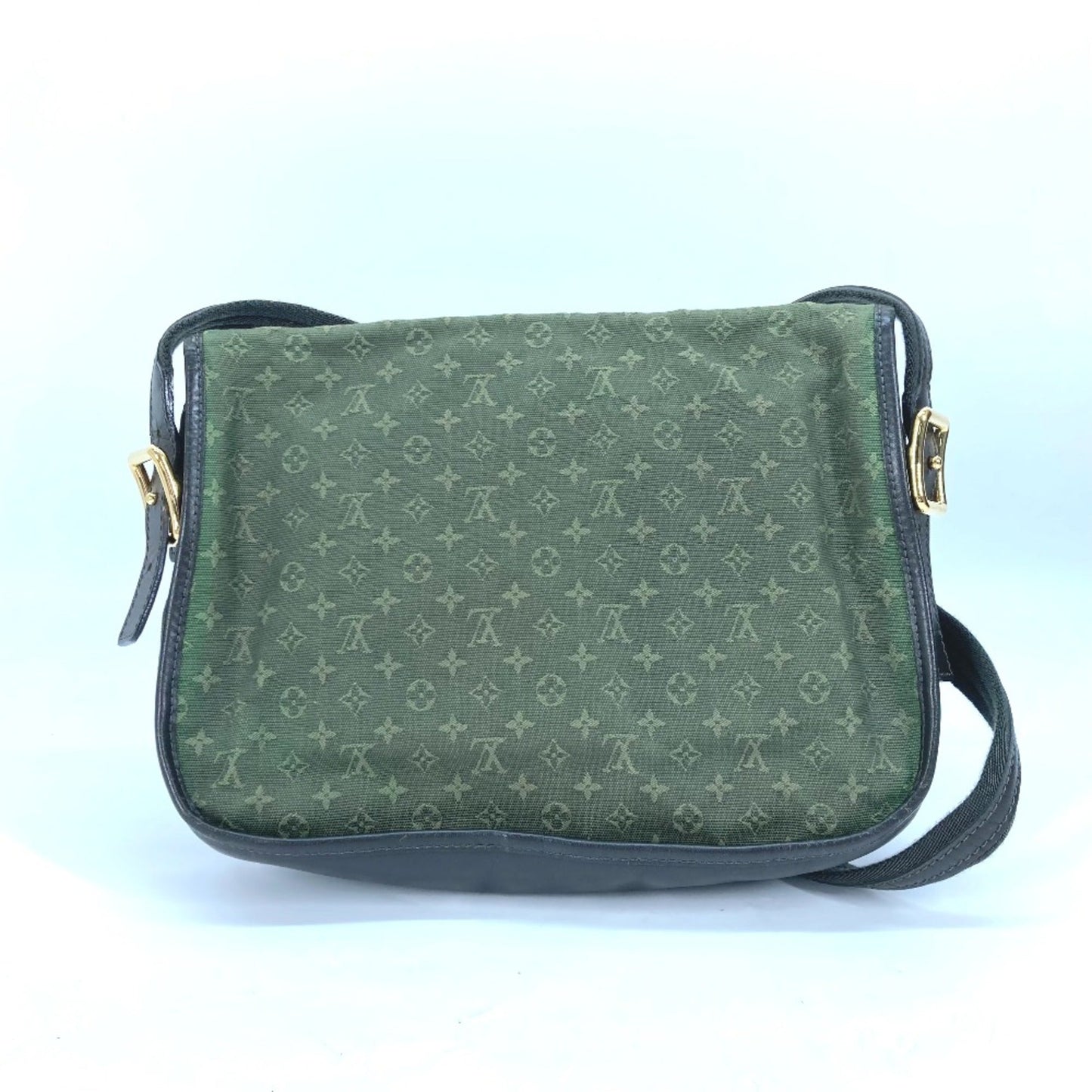 Louis Vuitton Other Other Shoulder Bag