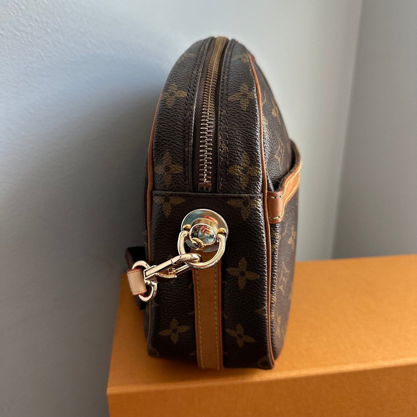 The Cockatiel Crossbody -Orvis bags LV Monogram