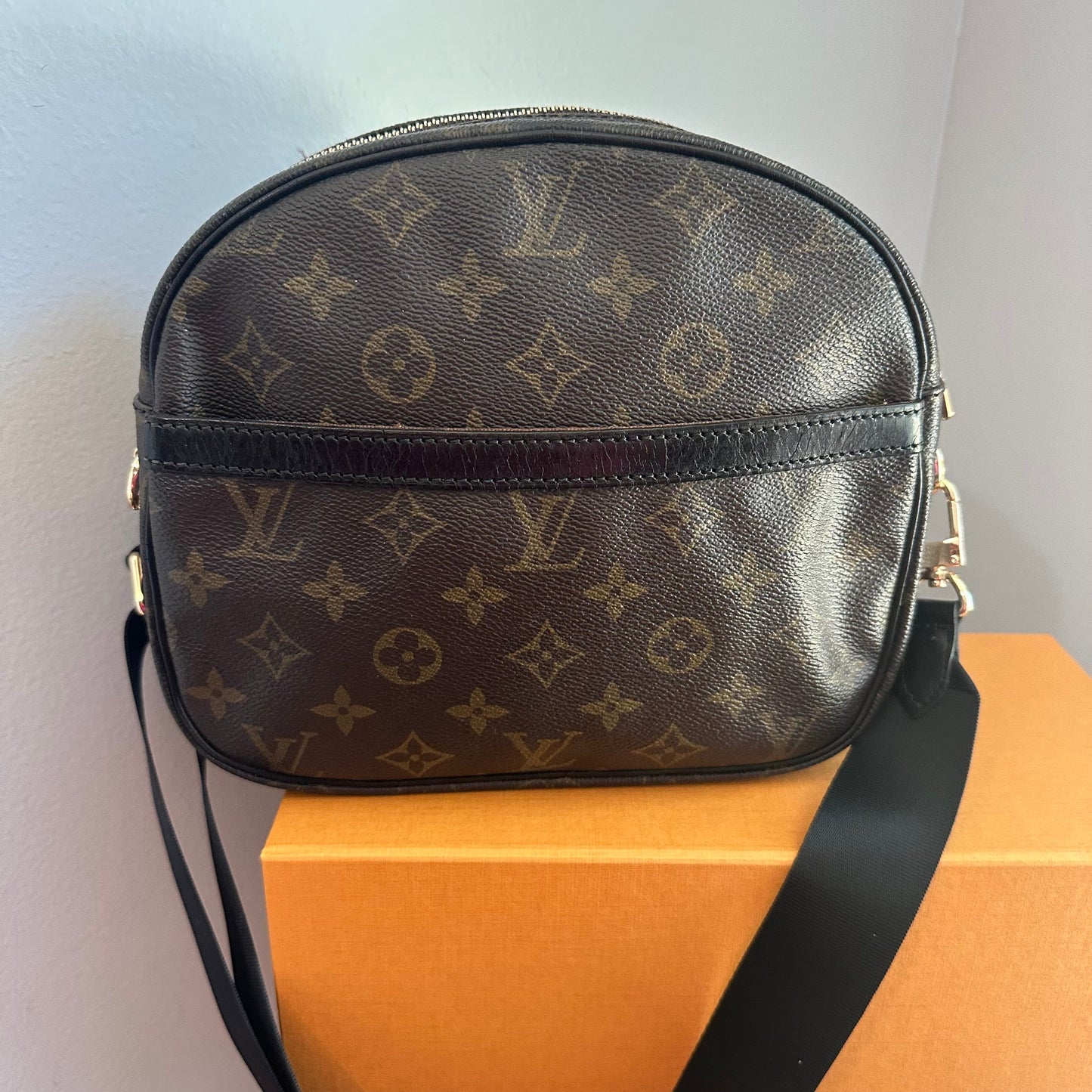 The Cockatiel Crossbody -Orvis bags LV Monogram in Black