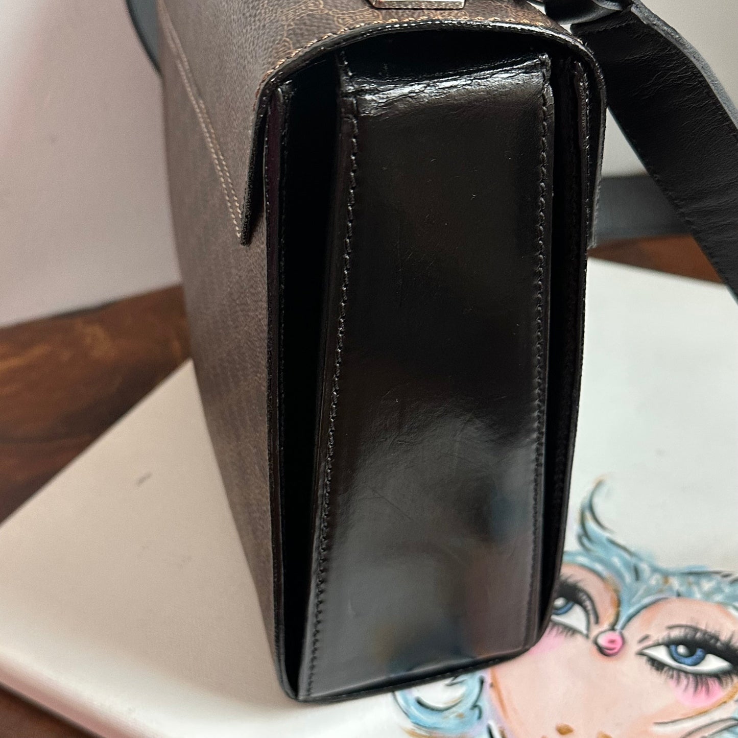 The Dove Crossbody Bag -Orvis bags CELINE in Macadam Pattern