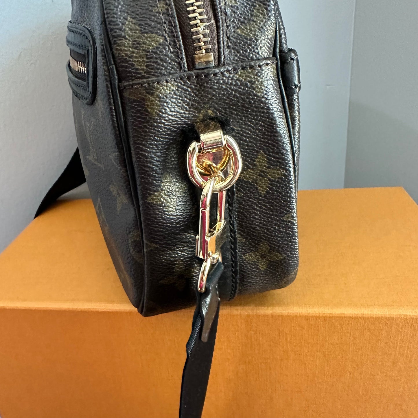 The Cockatiel Crossbody -Orvis bags LV Monogram in Black