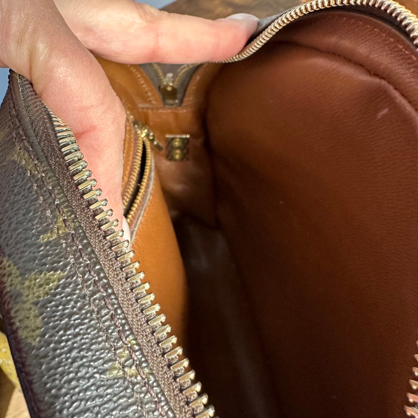 The Cockatiel Crossbody -Orvis bags LV Monogram in Black