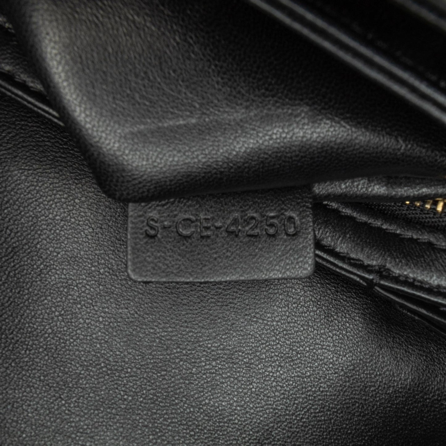Celine Embroidered Canvas Triomphe Crossbody