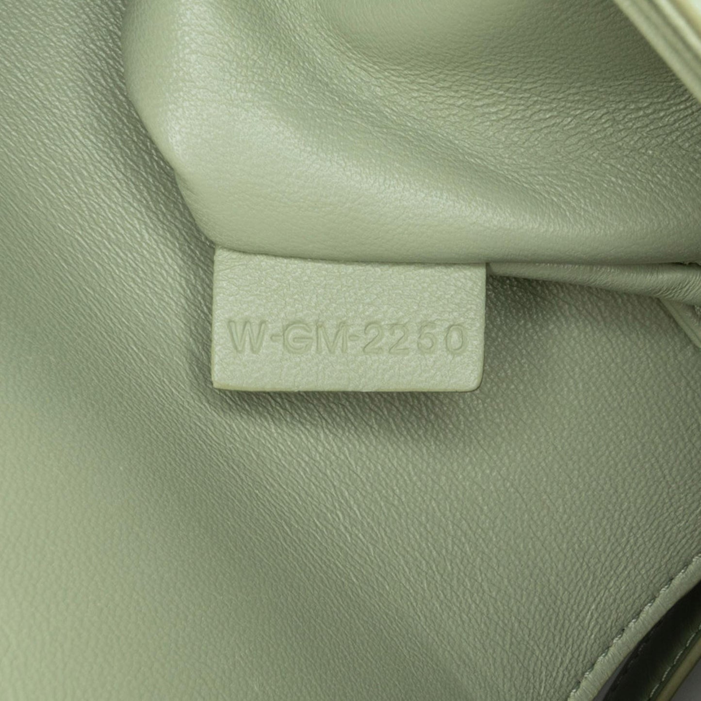 Celine Teen Coated Canvas Triomphe Crossbody