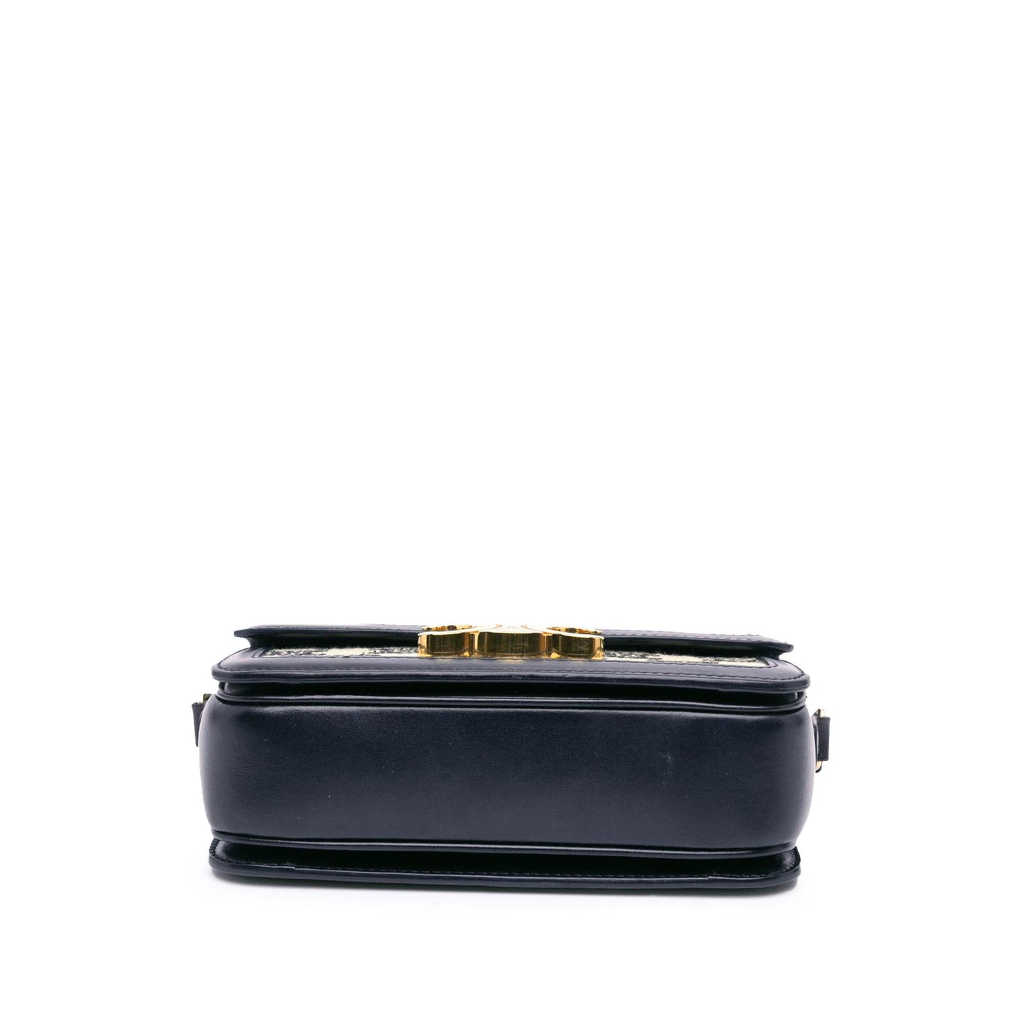 Celine Teen Embroidered Canvas Triomphe Crossbody