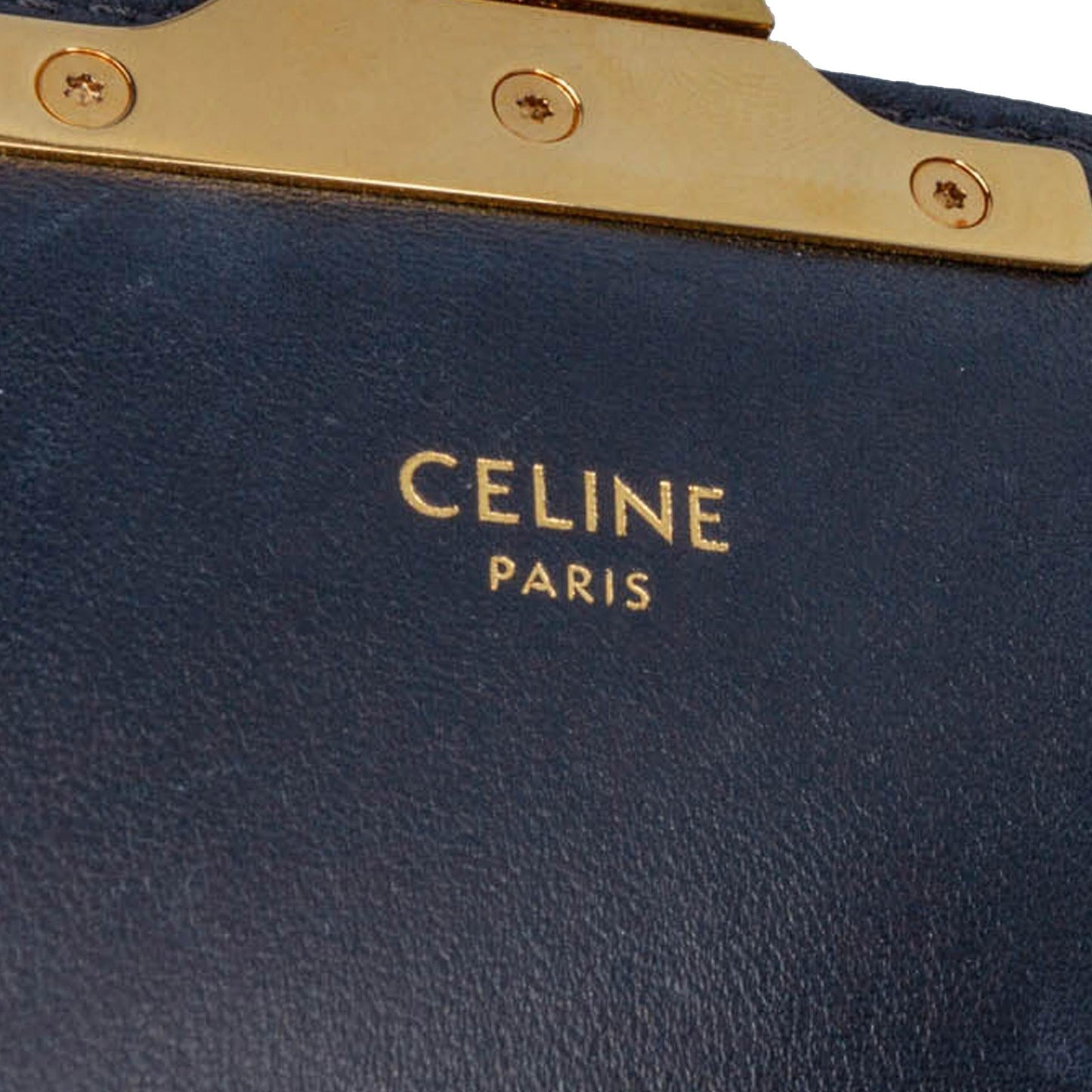 Celine Teen Embroidered Canvas Triomphe Crossbody