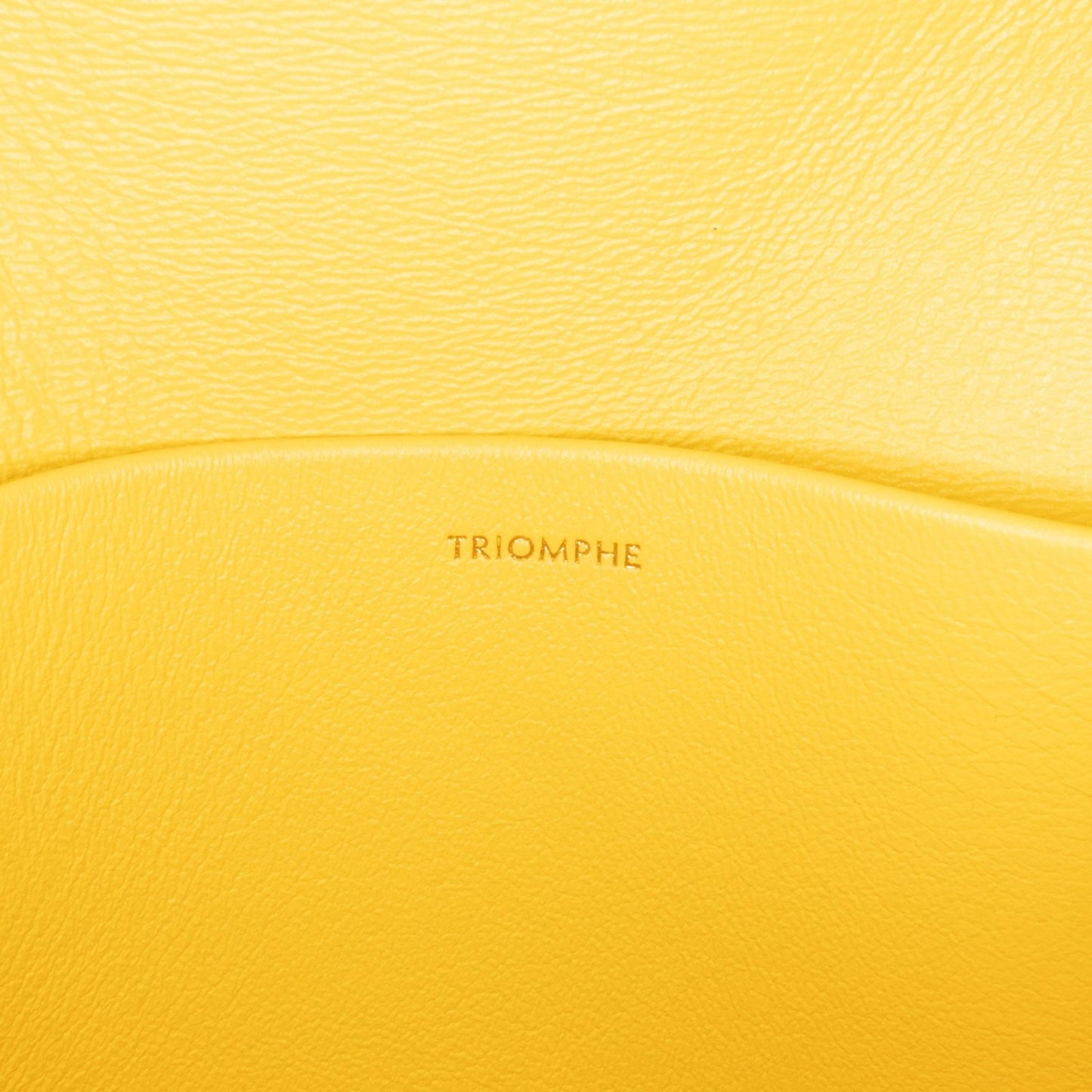Celine Teen Shiny Calfskin Triomphe Crossbody