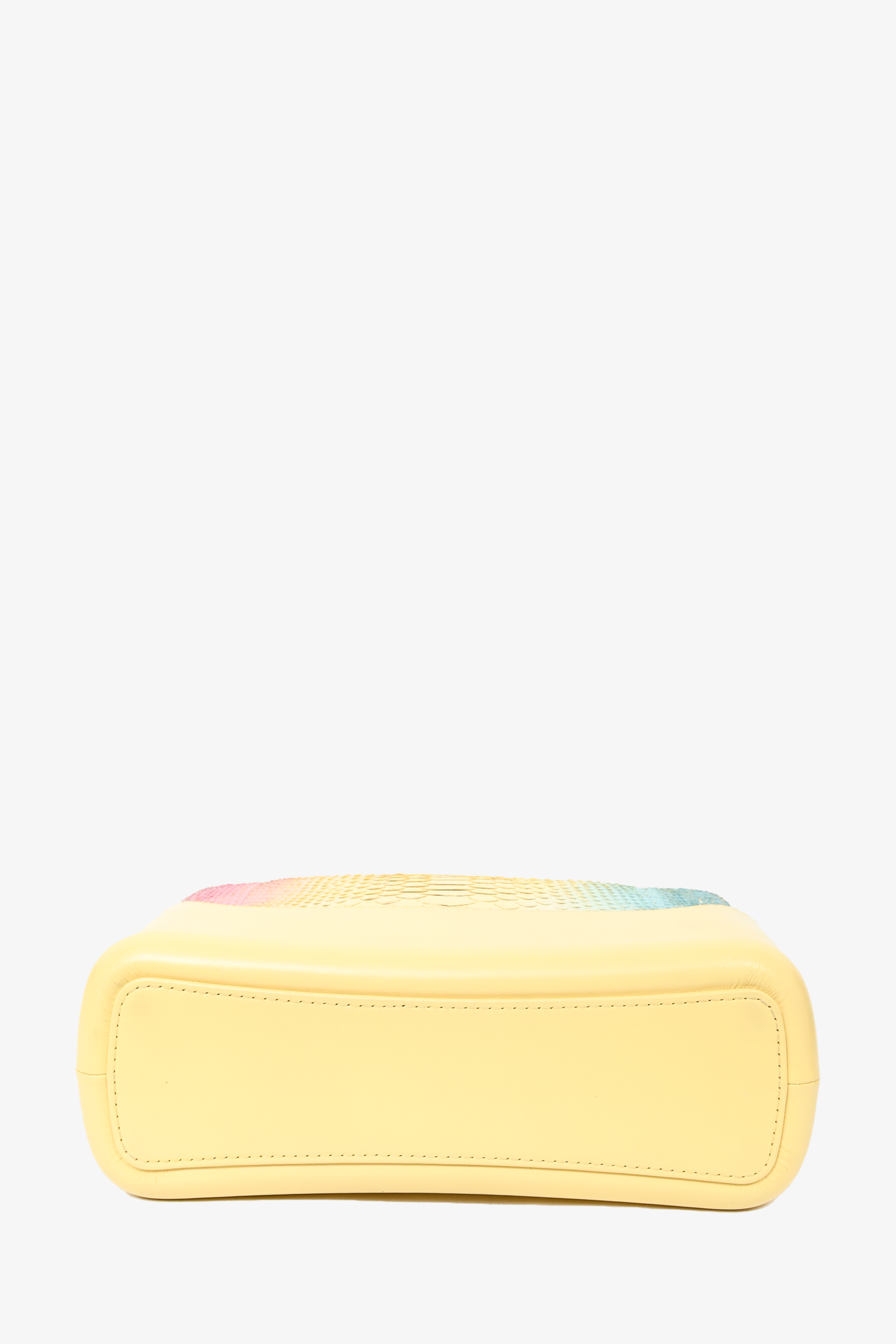 Pre-loved Chanel™ Cruise 2019 Multicolour Rainbow Python Medium Gabrielle Bag