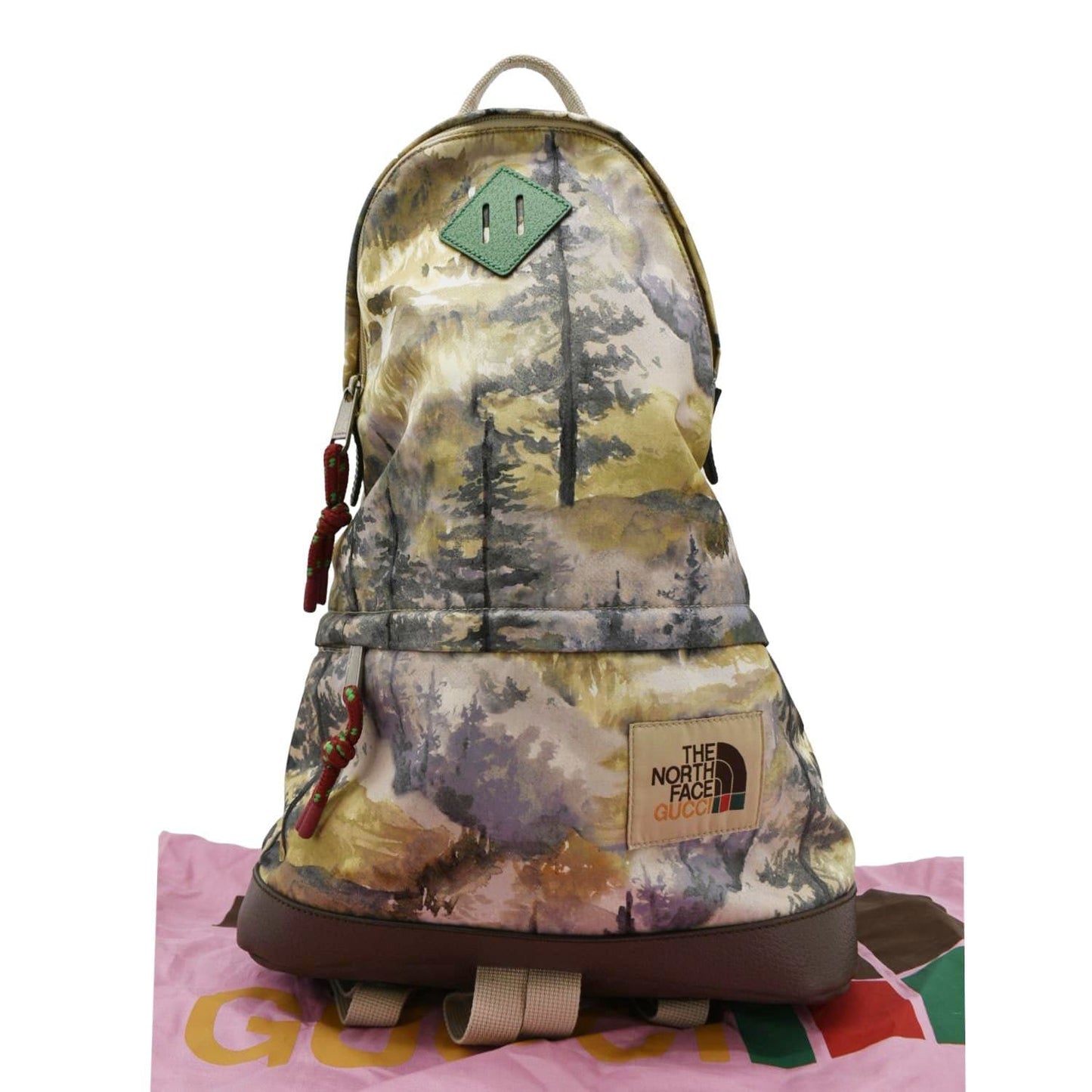 GUCCI x The North Face Mountain Print Nylon Backpack Multicolor