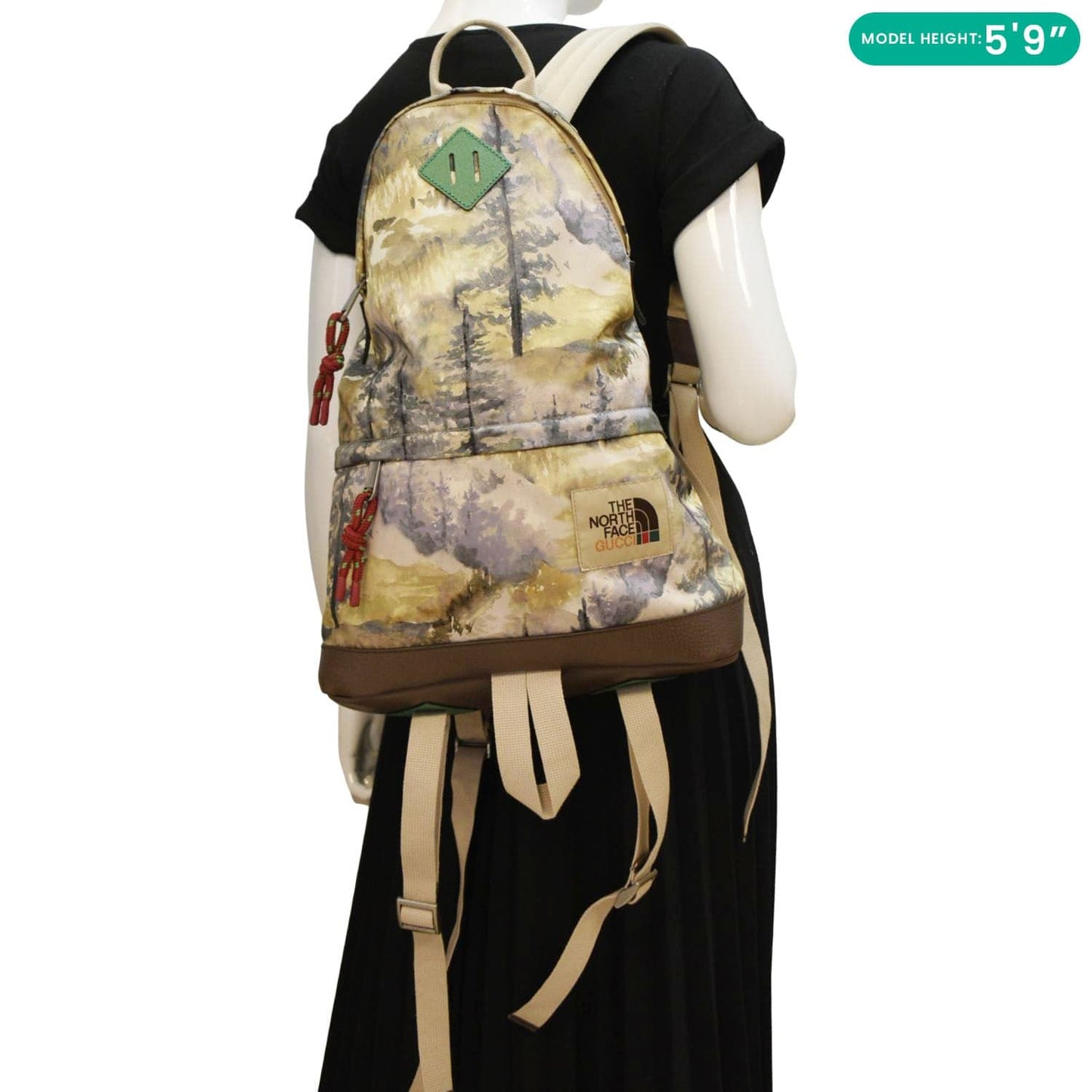 GUCCI x The North Face Mountain Print Nylon Backpack Multicolor