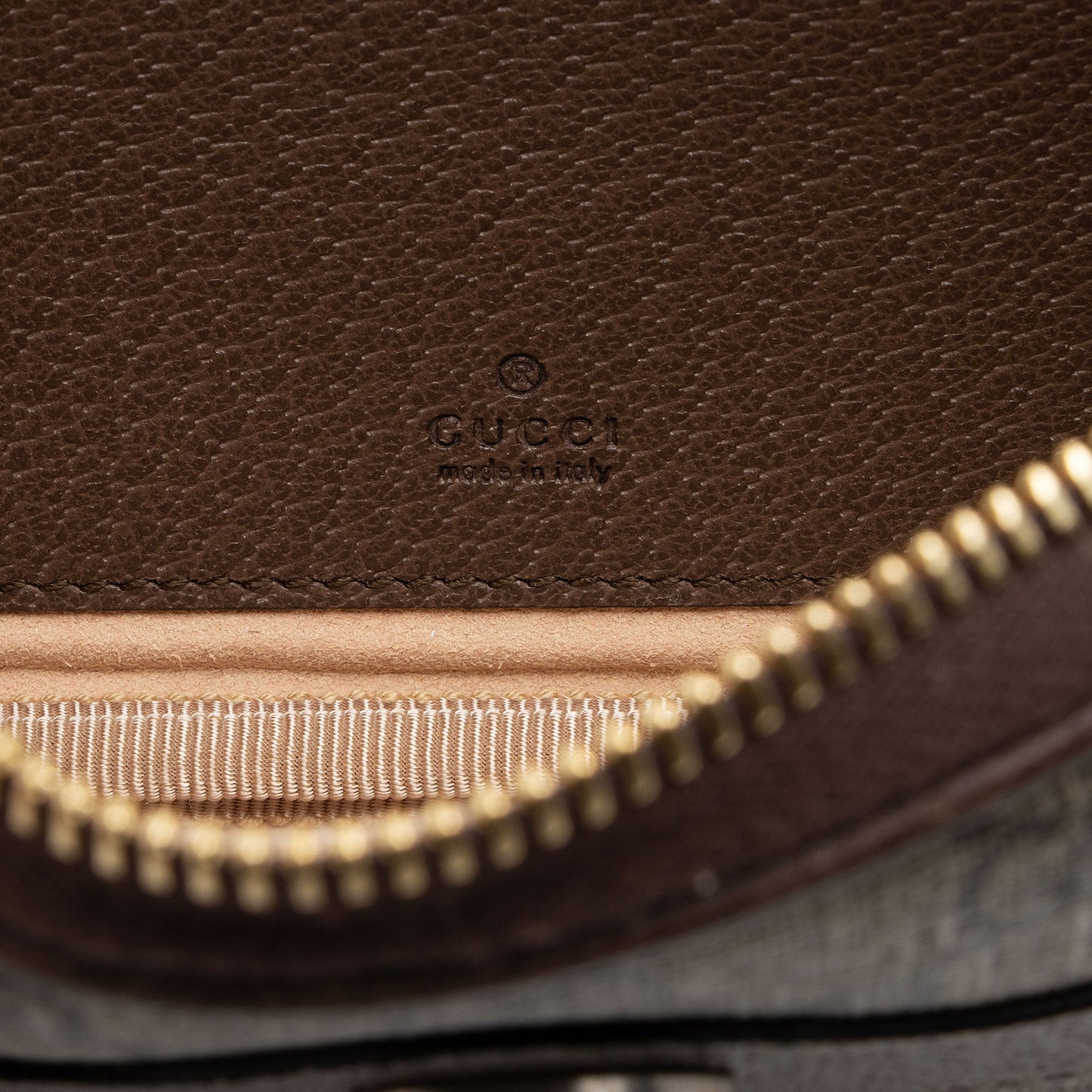 Gucci GG Supreme Ophidia Mini Crossbody (SHF-hKLVeq)