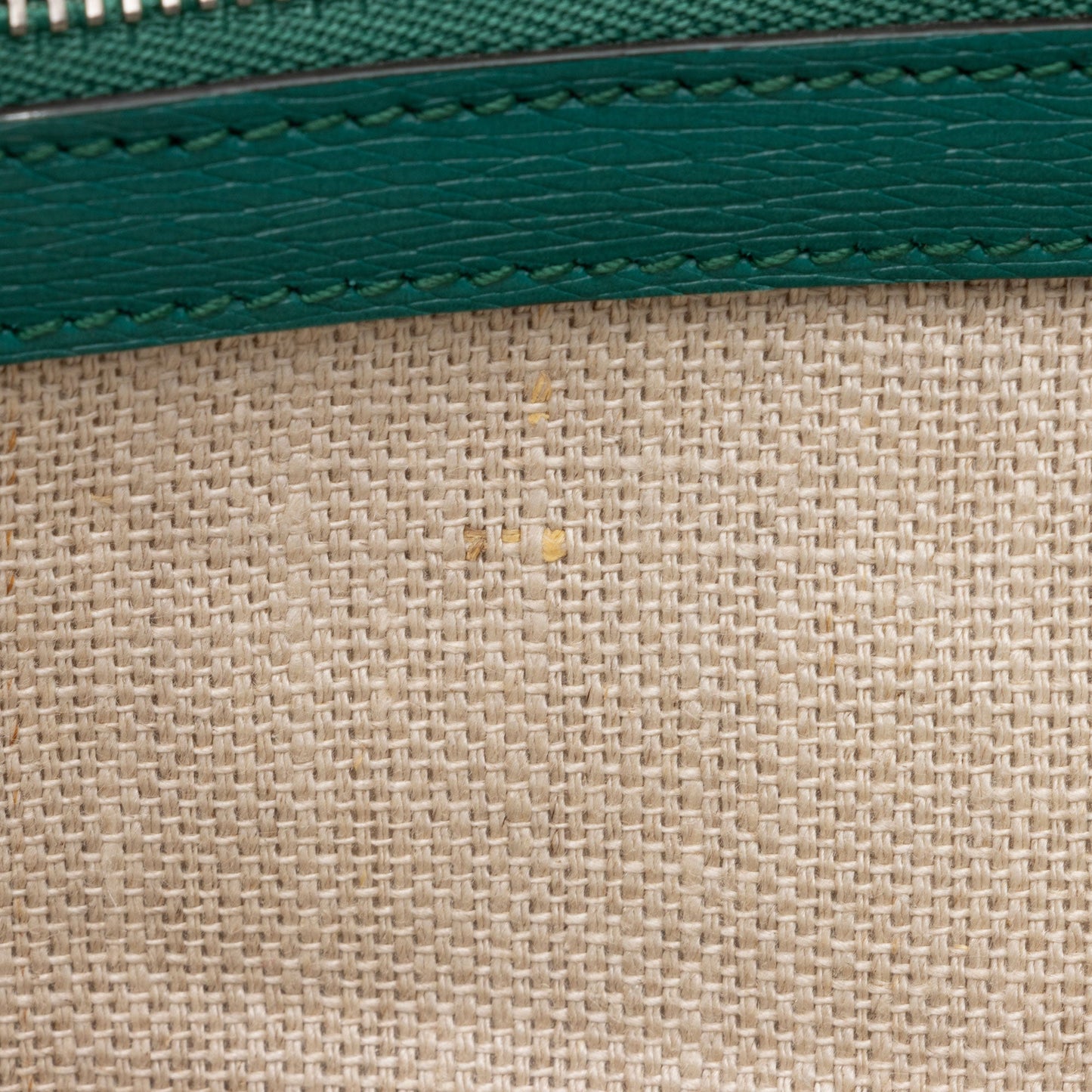 Gucci Leather Blooms Dionysus Medium Shoulder Bag (SHF-9xzCQT)