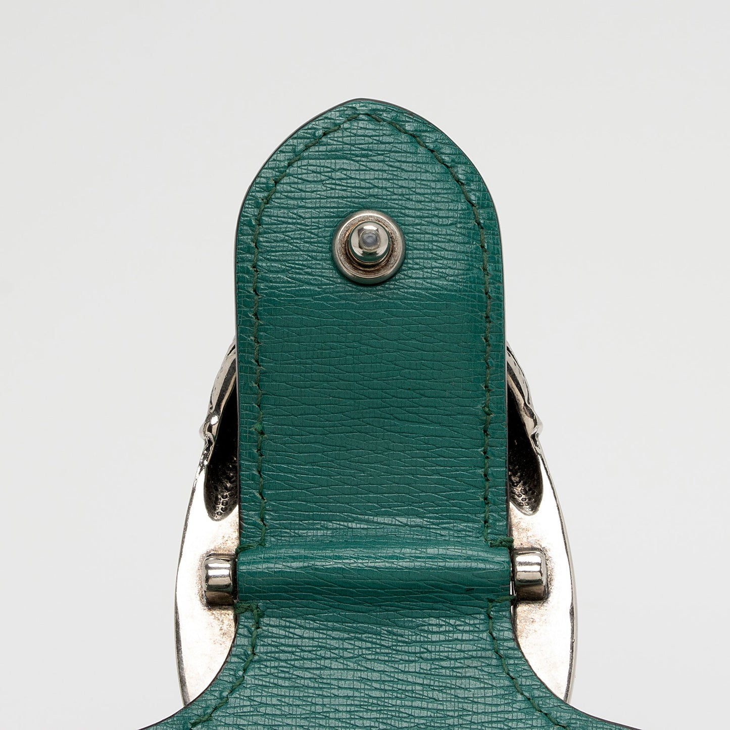Gucci Leather Blooms Dionysus Medium Shoulder Bag (SHF-XlECb6)