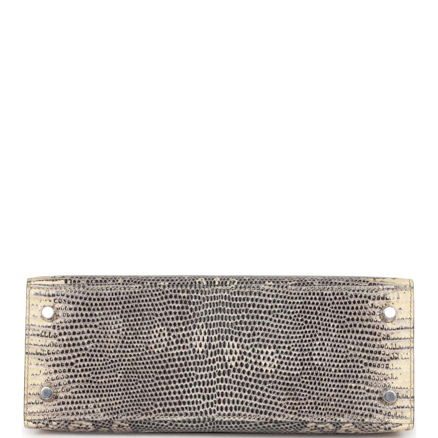 Hermes Kelly Sellier 25 Ombre Varanus Salvator Lizard Palladium Hardware