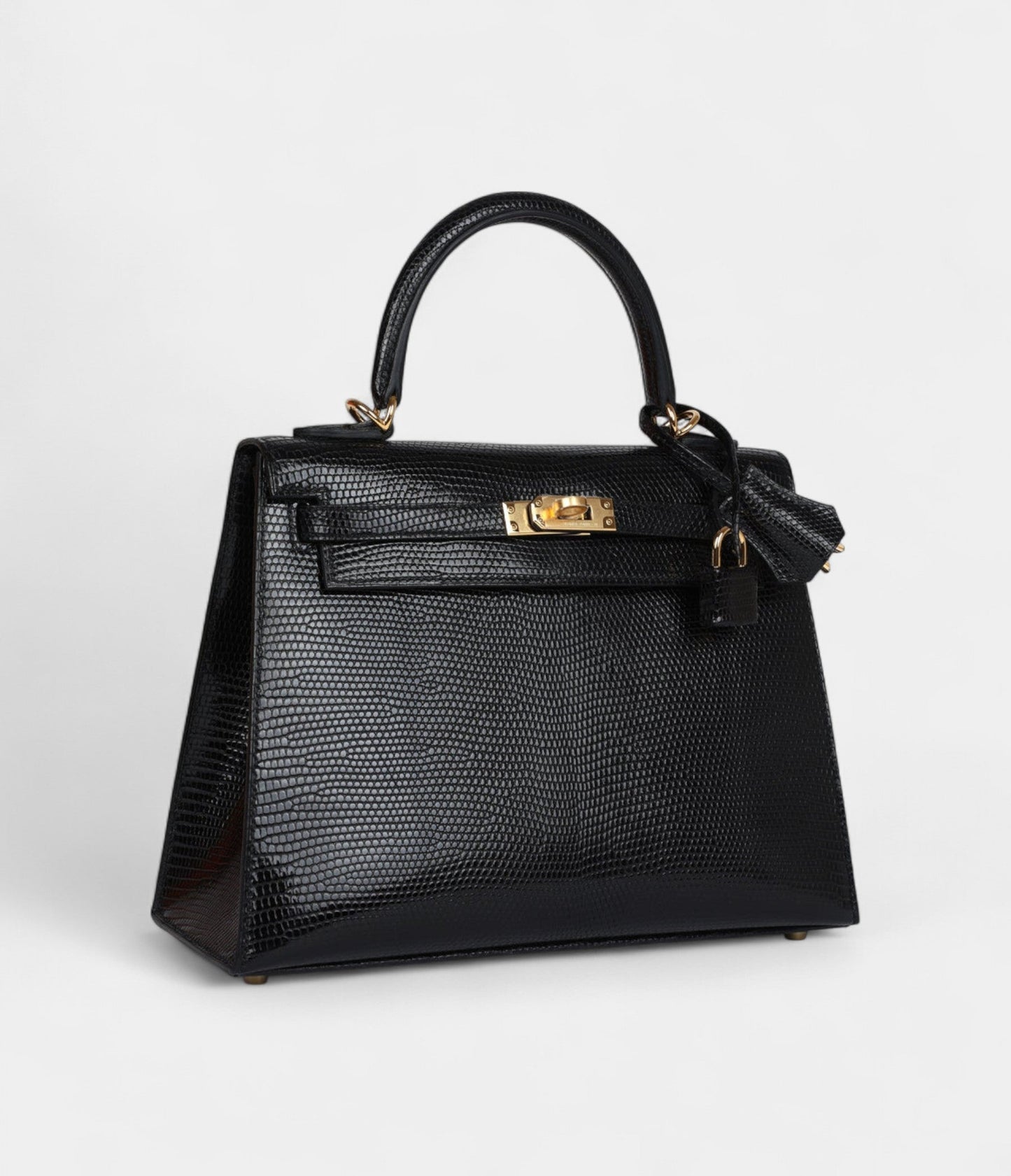 Hermes Kelly 25 Black Varanus Niloticus Lizard Gold Hardware
