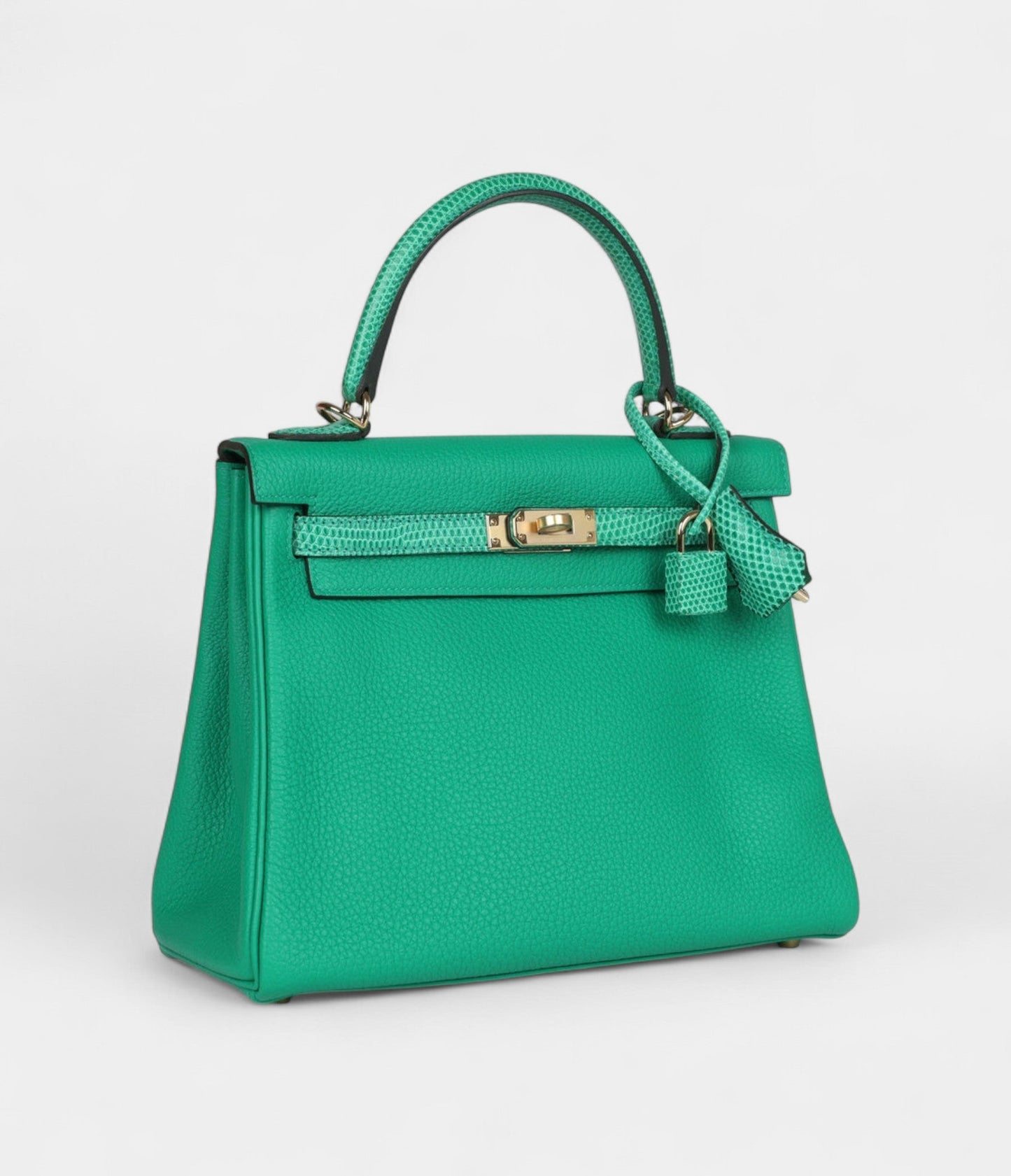 Hermes Kelly 25 Menthe Togo and Varanus Niloticus Lizard Touch Permabrass Hardware