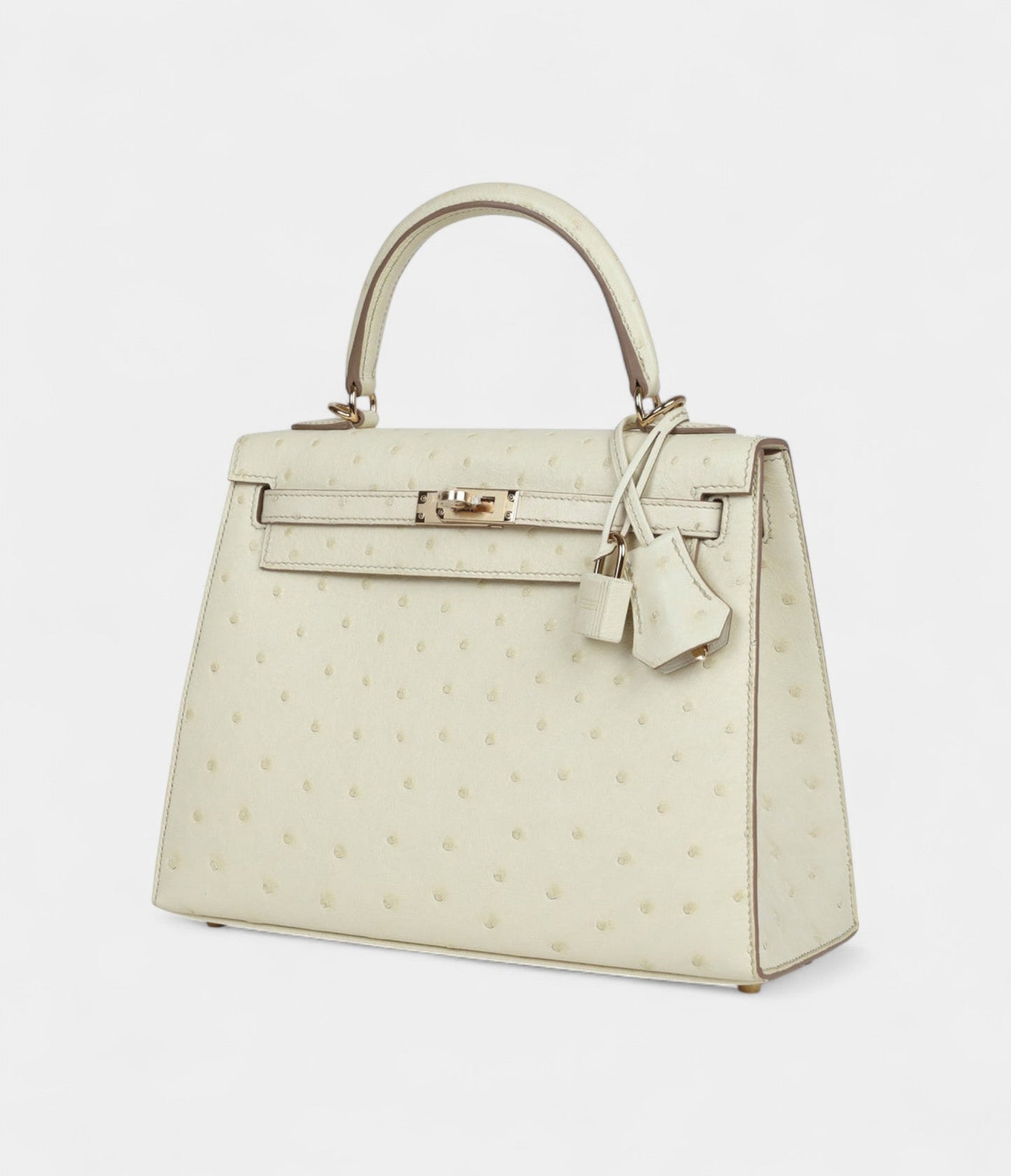 Hermes Kelly 25 Nata Verso Ostrich Permabrass Hardware