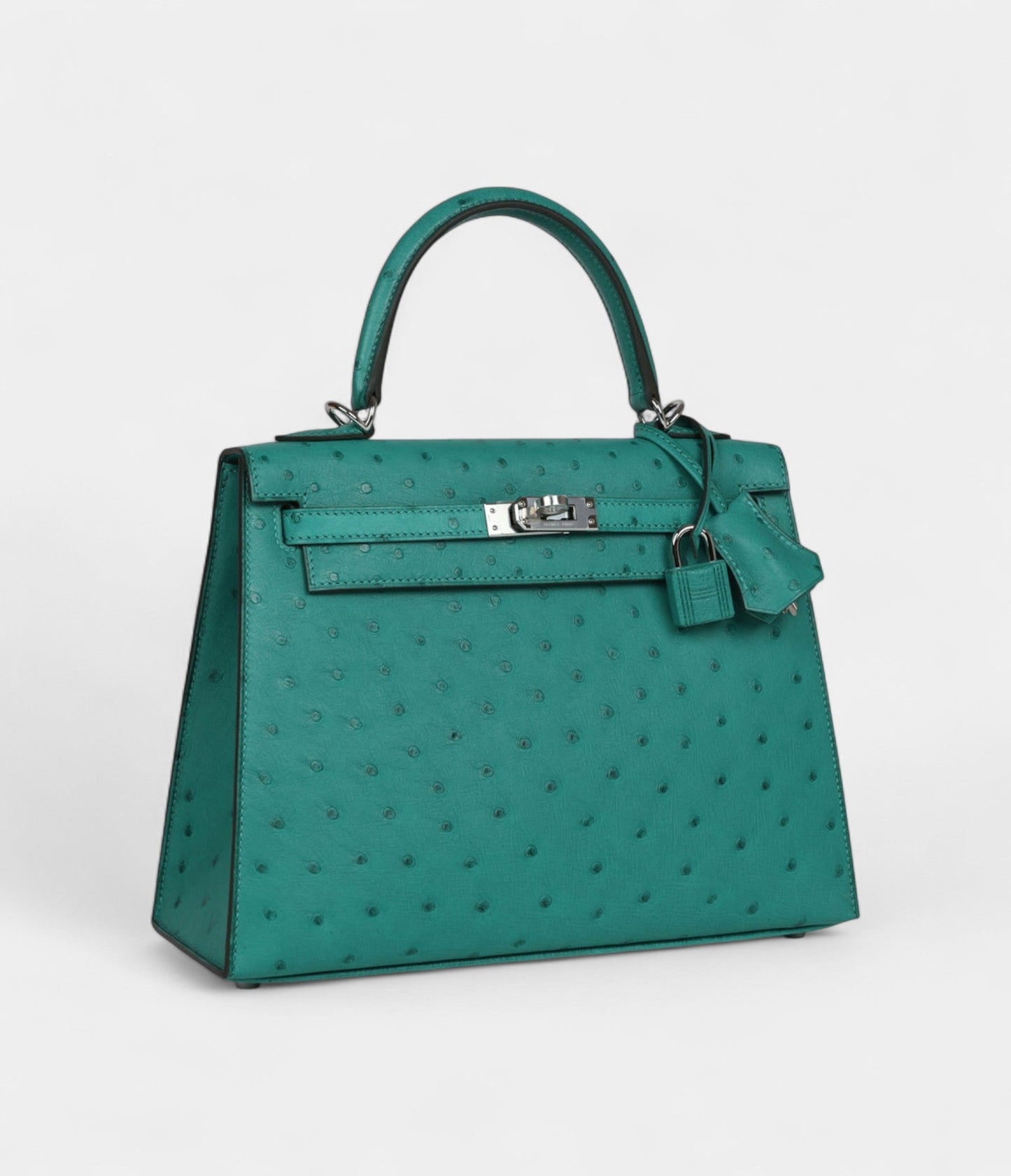 Hermes Kelly 25 Verone Ostrich Palladium Hardware