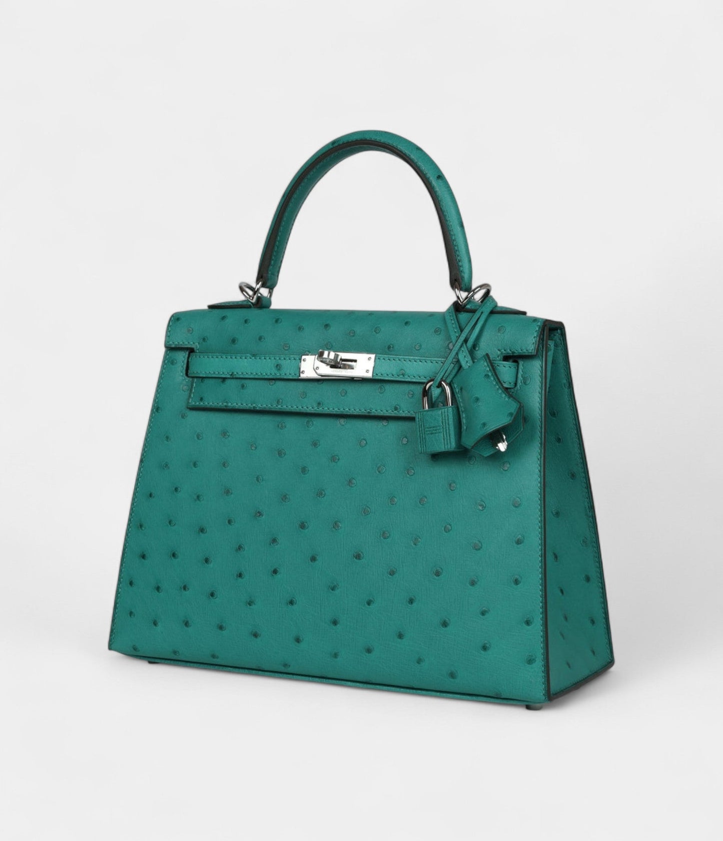 Hermes Kelly 25 Verone Ostrich Palladium Hardware