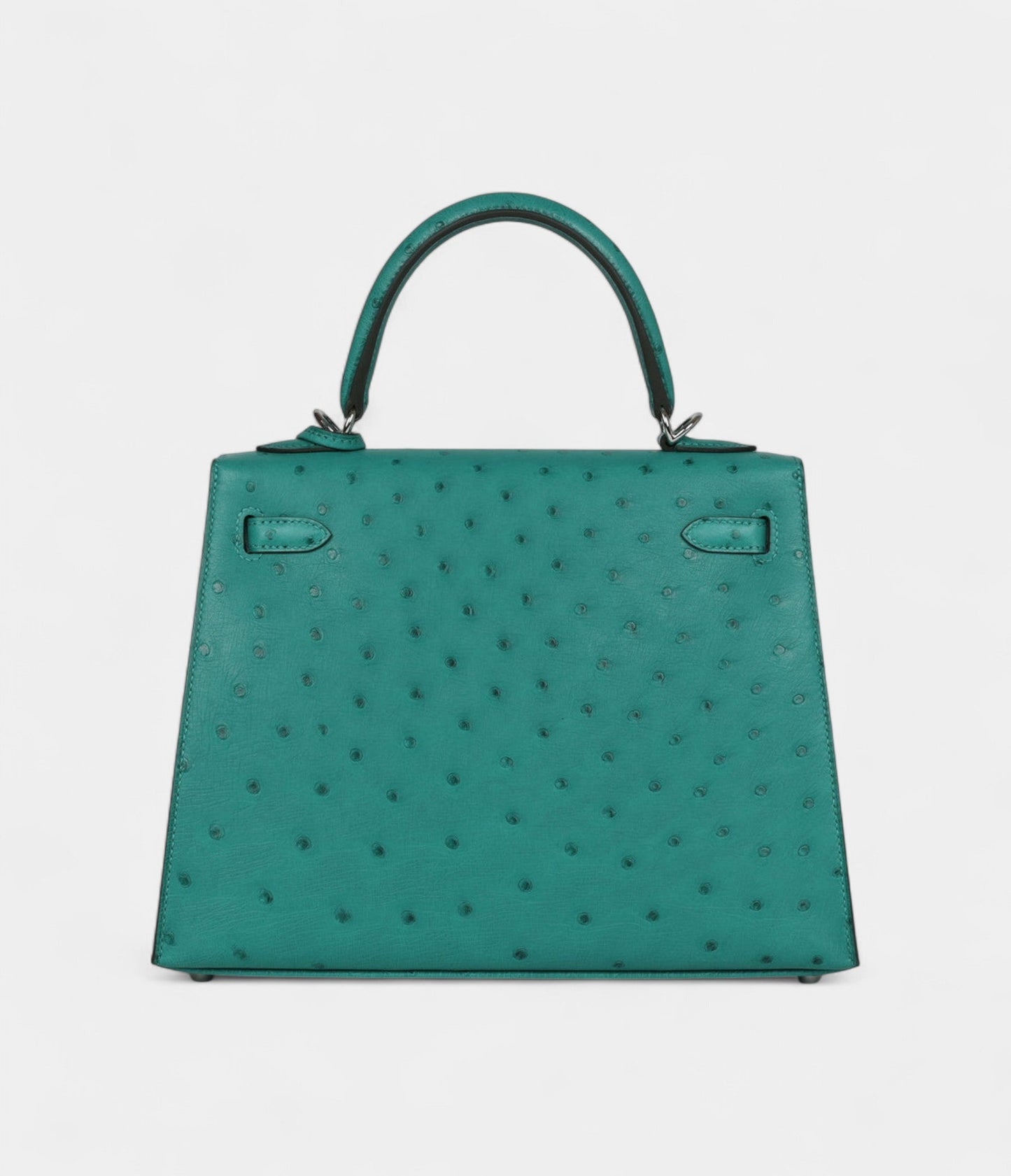 Hermes Kelly 25 Verone Ostrich Palladium Hardware