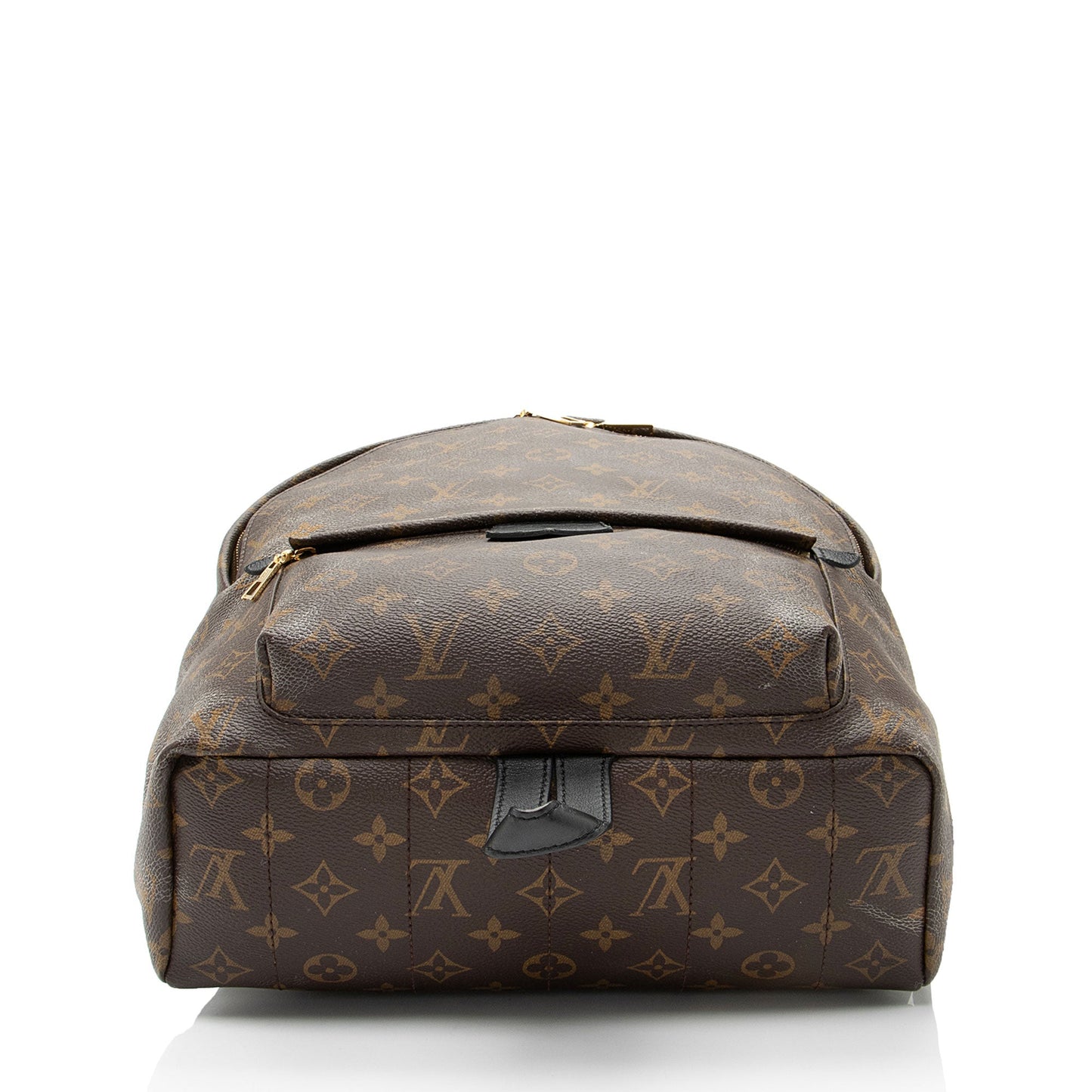 Louis Vuitton Monogram Canvas Palm Springs MM Backpack