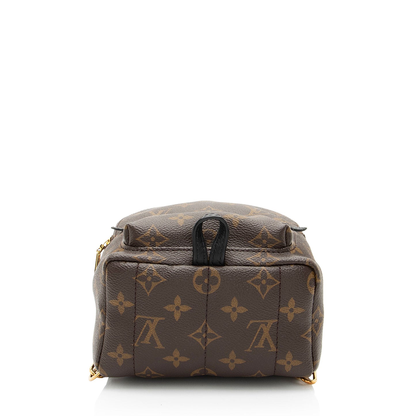 Louis Vuitton Monogram Canvas Palm Springs Mini Backpack