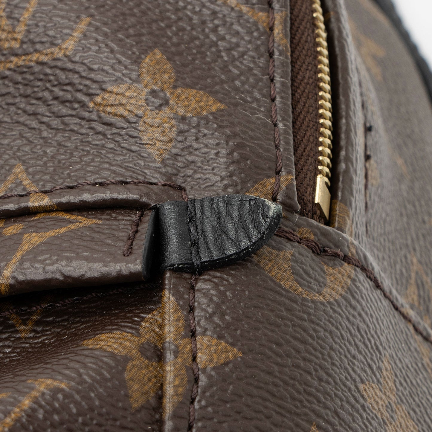 Louis Vuitton Monogram Canvas Palm Springs Mini Backpack