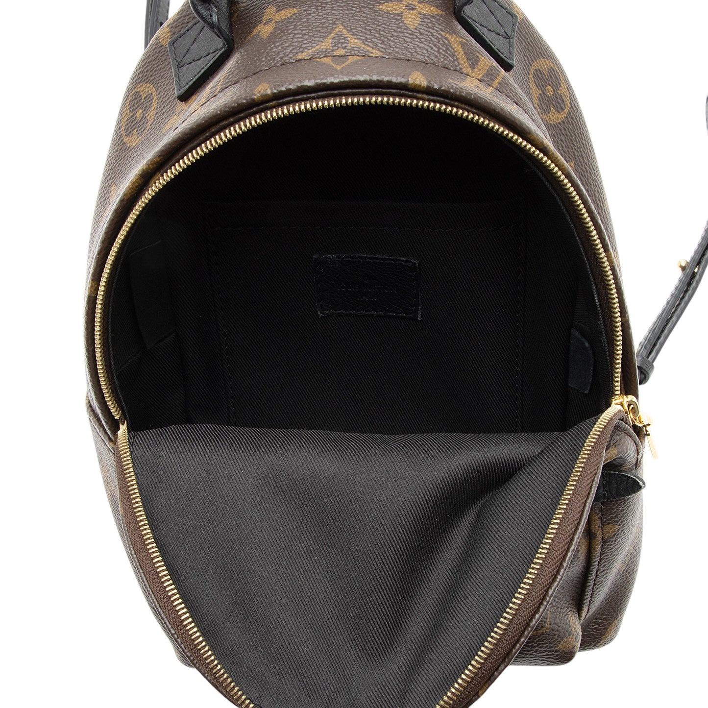 Louis Vuitton Monogram Canvas Palm Springs Mini Backpack