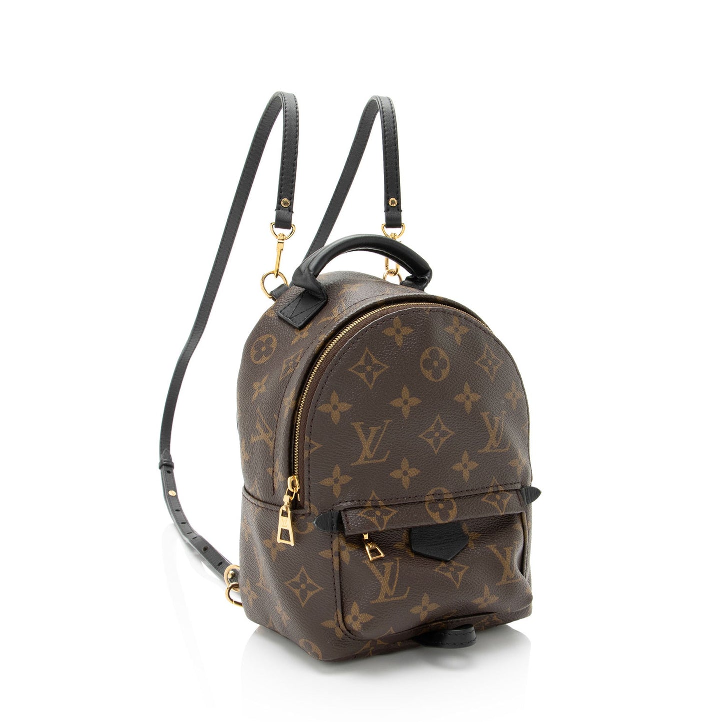 Louis Vuitton Monogram Canvas Palm Springs Mini Backpack
