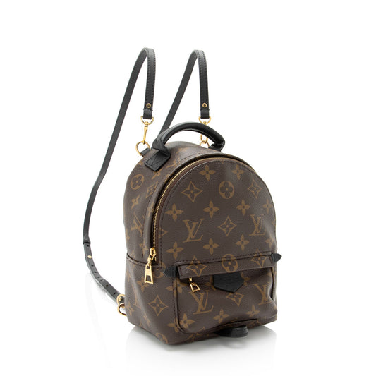 Louis Vuitton Monogram Canvas Palm Springs Mini Backpack