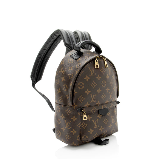 Louis Vuitton Monogram Canvas Palm Springs PM Backpack